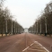 Empty streets of London 16